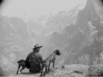 Happy dogs at Yosemite Valley