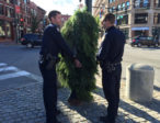 Portland, Maine police arrest a tree