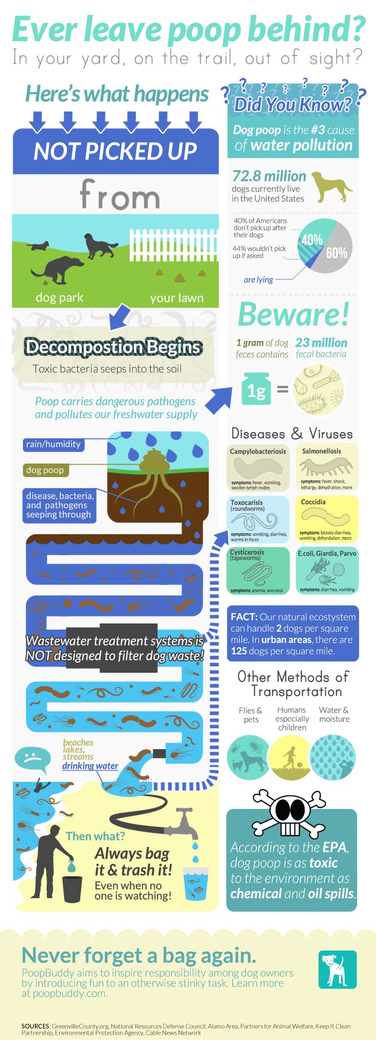 how much bacteria is in dog poop