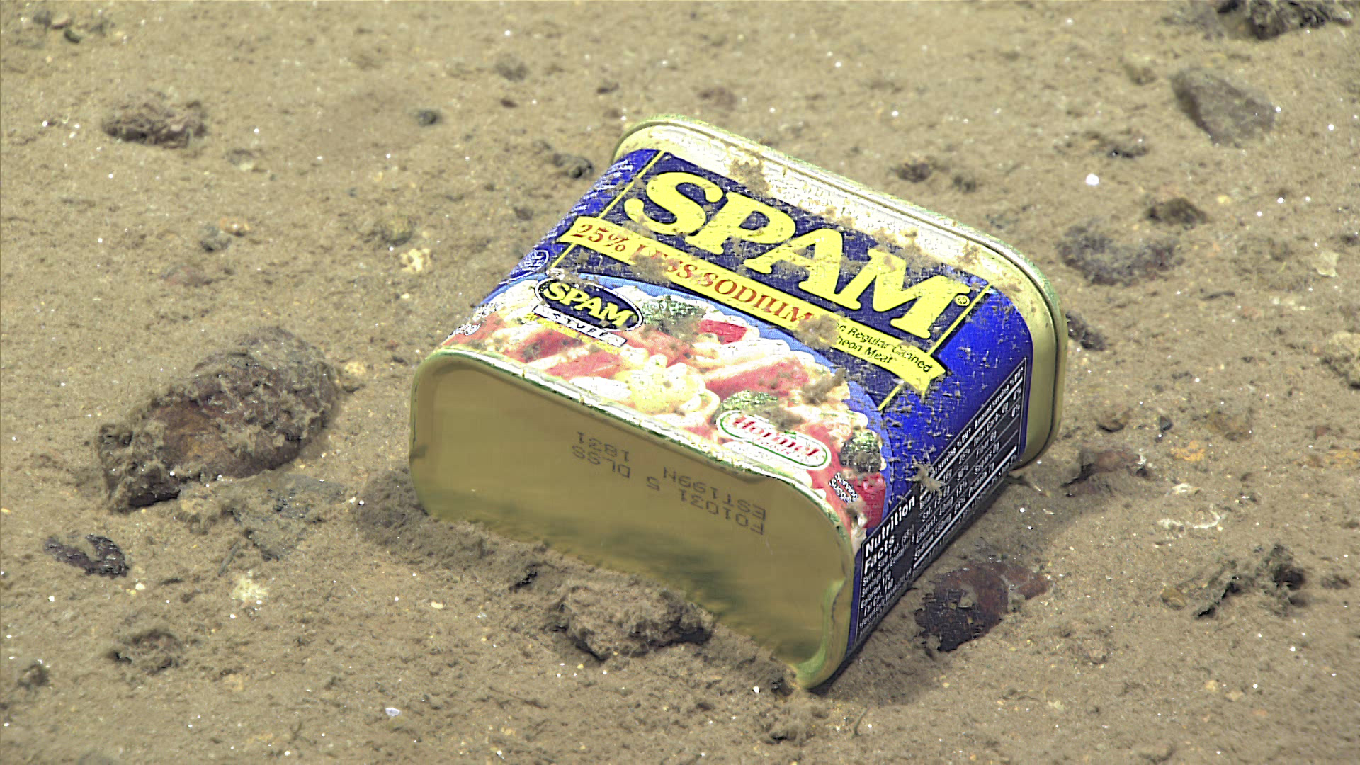 A food container, seen resting at 4,947 meters on the slopes of a canyon leading to the Sirena Deep. Image courtesy of NOAA Office of Ocean Exploration and Research, 2016 Deepwater Exploration of the Marianas.