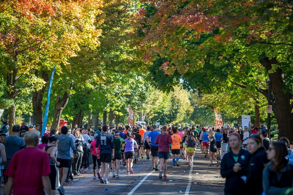 Marathoners run along Summit Avenue in St. Paul during the Twin Cities Marathon in 2015.  Caroline Yang for MPR News.