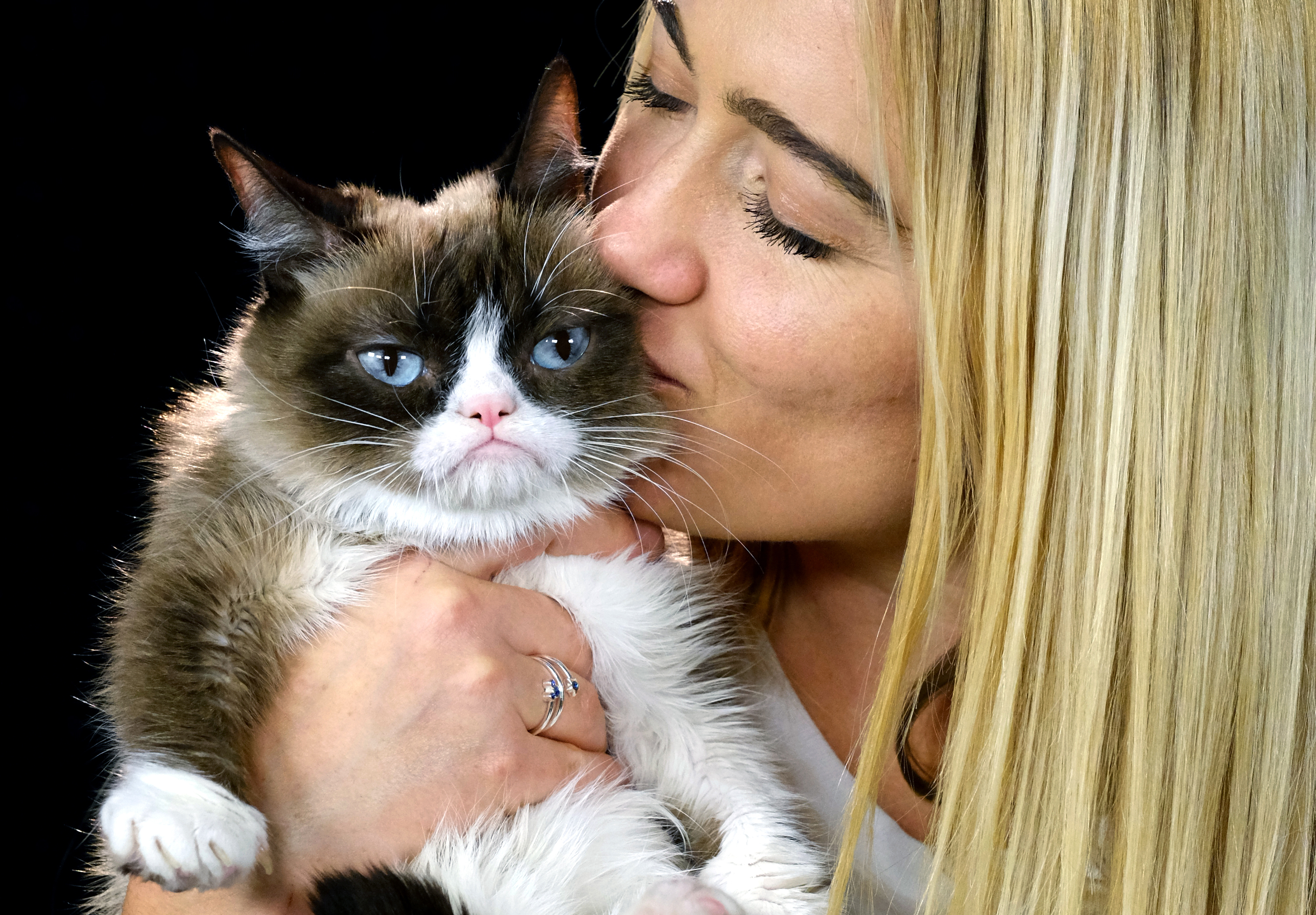 Grumpy Cat Dies Aged 7