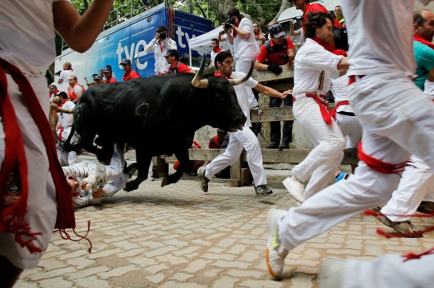 Revelers run with a Fuente Ymbro's fighting bull entering the bullring during the eighth day of the 2013 San Fermin Running Of The Bulls festival in Pamplona, Spain. (Pablo Blazquez Dominguez/Getty Images) 