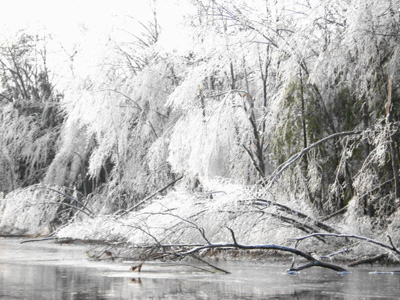 ice_storm_fitchburg.jpg